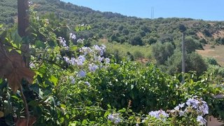 Land for sale in Vila do Bispo, Portugal — €265,000