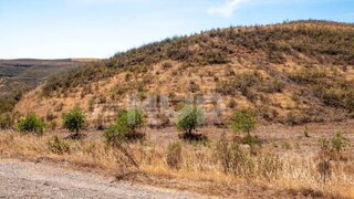 Land for sale in Abrantes, Portugal — €50,000