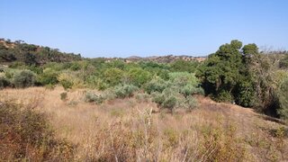 Land for sale in Silves, Portugal — €25,000
