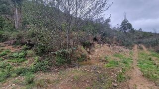 Land for sale in Monchique, Portugal — €52,000