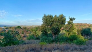 Land for sale in Albufeira, Portugal — €49,000