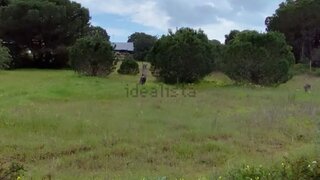 Land for sale in Loulé, Portugal — €60,000