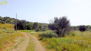 Land for sale in Castro Marim, Portugal — €7,500