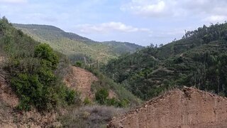 Land for sale in Monchique, Portugal — €169,000