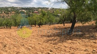 Land for sale in Loulé, Portugal — €40,000