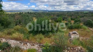 Land for sale in Silves, Portugal — €95,000