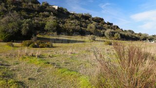 Terreno em Lagoa