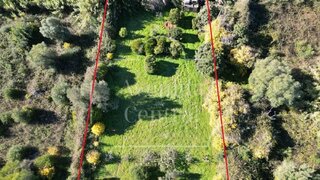 Land for sale in Loulé, Portugal — €39,500
