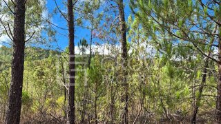 Land for sale in Loulé, Portugal — €25,000