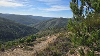 Terreno em Monchique · 217 720 m² · 215 000 €