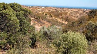 Land for sale in Abrantes, Portugal — €20,000