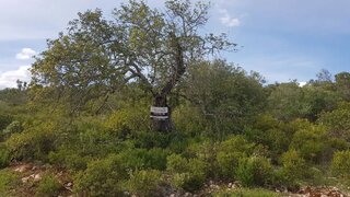 Land for sale in Loulé, Portugal — €25,000