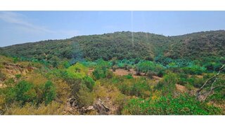 Land for sale in Albufeira, Portugal — €25,000