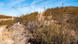 Land for sale in Abrantes, Portugal — €18,000