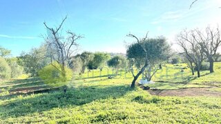 Land for sale in Silves, Portugal — €29,700