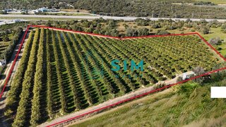 Land for sale in Olhão, Portugal — €220,000