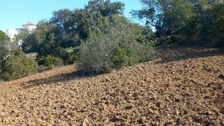 Terreno para venda em Loulé, Portugal — 60 000 €