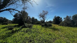 Land for sale in Albufeira, Portugal — €49,000
