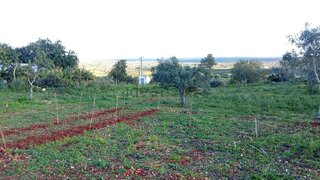 Land for sale in Silves, Portugal — €87,000