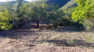 Land for sale in Silves, Portugal — €75,000