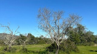 Land for sale in Olhão, Portugal — €45,000