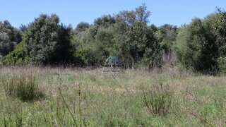 Land for sale in Loulé, Portugal — €45,000