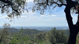 Land for sale in Monchique, Portugal — €30,000