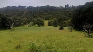 Land for sale in Loulé, Portugal — €70,000