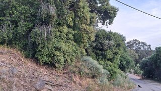 Terreno em Monchique