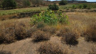 Land for sale in Castro Marim, Portugal — €45,000