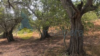 Land for sale in Loulé, Portugal — €45,000
