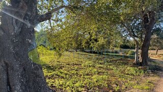 Land for sale in Loulé, Portugal — €35,000