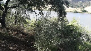 Land for sale in Alcoutim, Portugal — €120,000