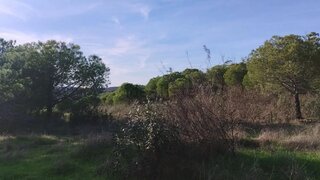Land for sale in Castro Marim, Portugal — €22,000
