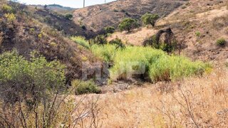 Land for sale in Abrantes, Portugal — €45,000