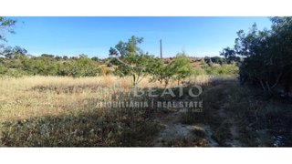 Terreno de 10 000 m² em Lagoa