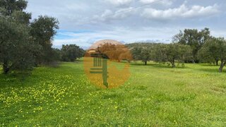 Terreno em São Brás de Alportel