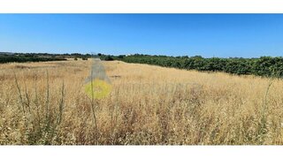 Land for sale in Silves, Portugal — €30,000