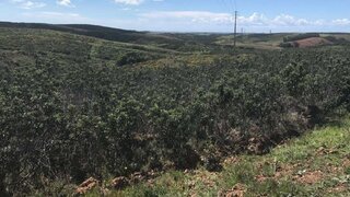 Land for sale in Vila do Bispo, Portugal — €20,000
