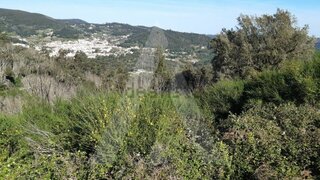 Terreno em Monchique