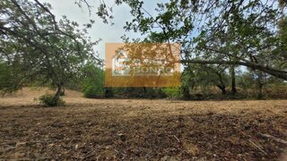 Land for sale in São Brás de Alportel, Portugal — €37,500