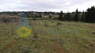 Land for sale in Silves, Portugal — €40,000