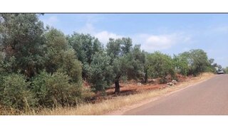 Terreno · 3370 m² · 77 000 €