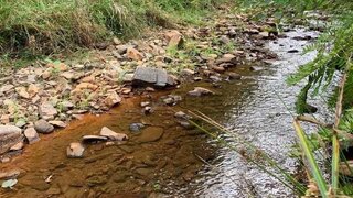 Terreno em Monchique