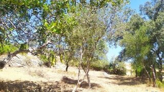 Land for sale in Loulé, Portugal — €220,000