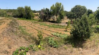 Land for sale in Aljezur, Portugal — €45,000