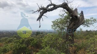 Land for sale in Loulé, Portugal — €50,000