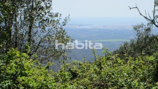 Land for sale in Monchique, Portugal — €58,000