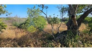 Land for sale in Silves, Portugal — €16,900