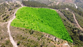 Land for sale in Silves, Portugal — €15,000